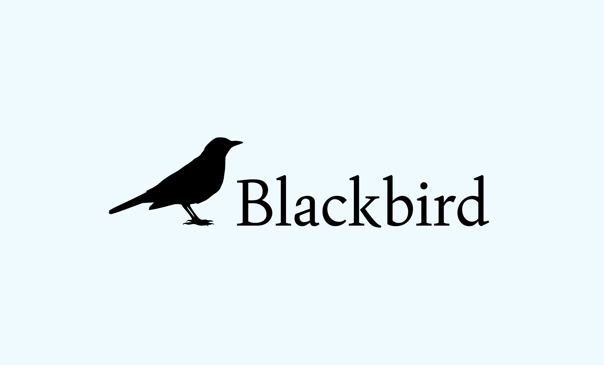 Imagen de portada sobre el proyecto Blackbird Retail Store Web E-commerce para venta de ropa